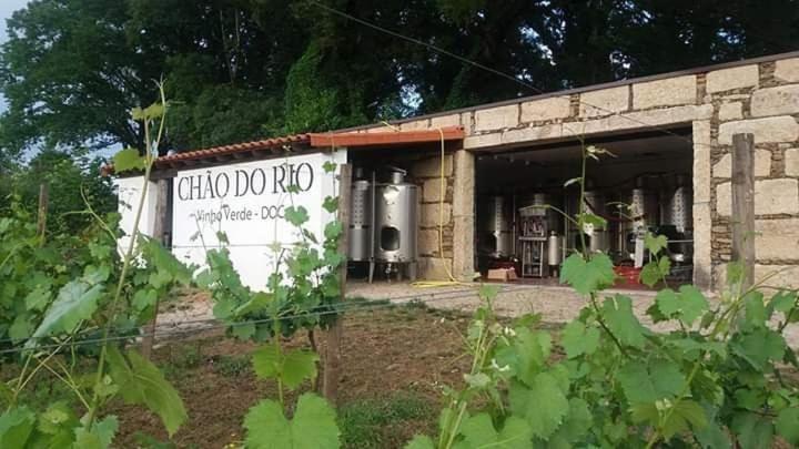 Quinta Da Chouza Agroturismo E Enoturismo 세로리코데바스토 외부 사진