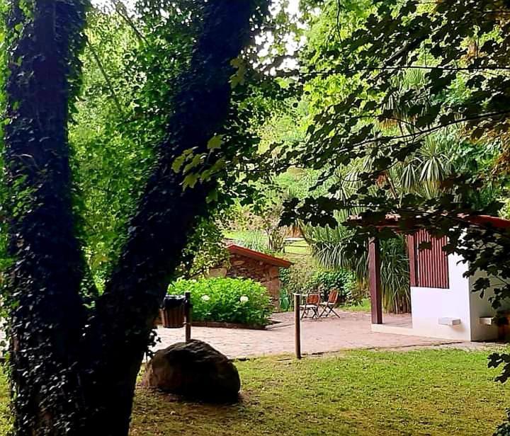 Quinta Da Chouza Agroturismo E Enoturismo 세로리코데바스토 외부 사진