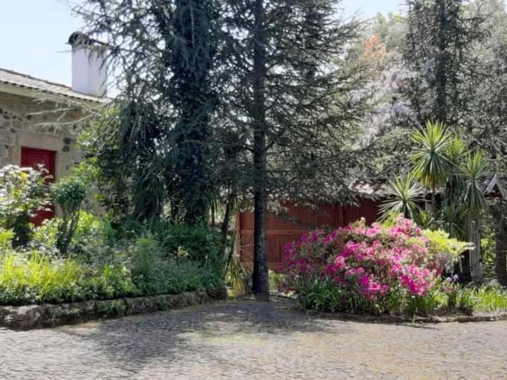 Quinta Da Chouza Agroturismo E Enoturismo 세로리코데바스토 외부 사진