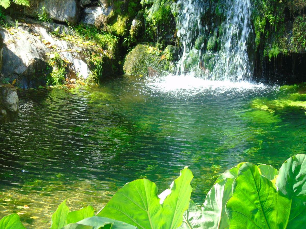 Quinta Da Chouza Agroturismo E Enoturismo 세로리코데바스토 외부 사진