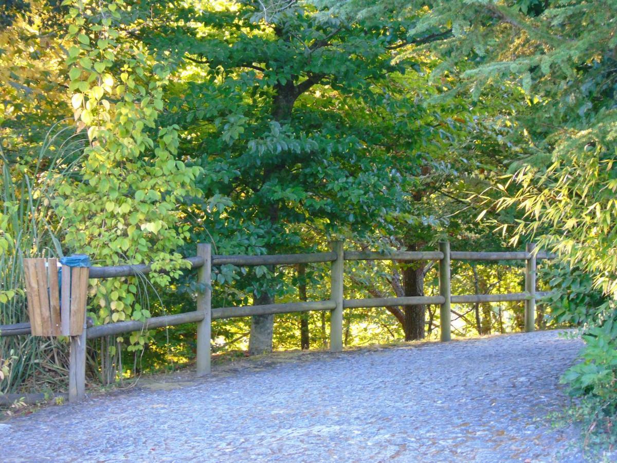 Quinta Da Chouza Agroturismo E Enoturismo 세로리코데바스토 외부 사진