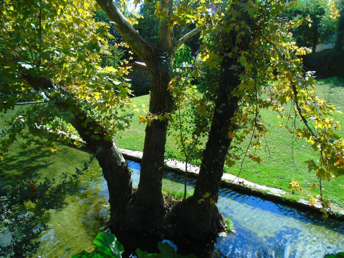 Quinta Da Chouza Agroturismo E Enoturismo 세로리코데바스토 외부 사진
